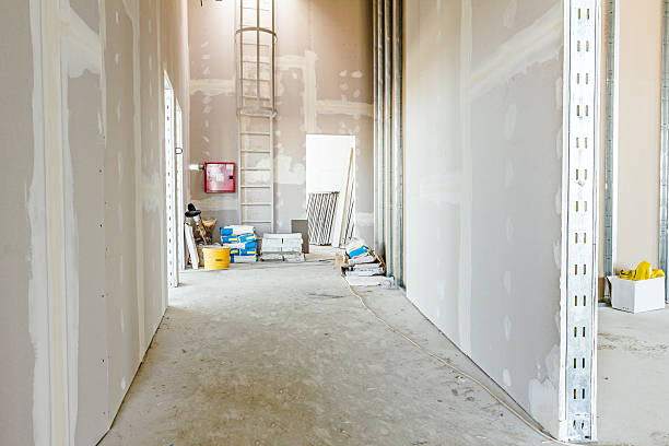 Best Mold Damage Restoration  in Pleasanton, TX